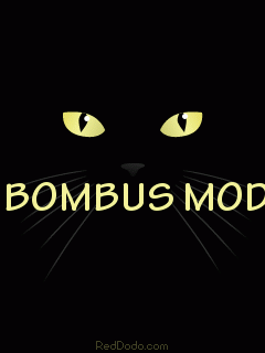 Blackcat-bombus